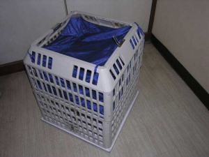 更衣久久精品国产亚洲AV无码麻豆
